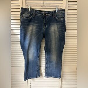 Ana Faded Blue Straight-Leg Capris Size 16P